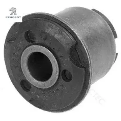 Salıncak burcu               405 peugeot  resmi