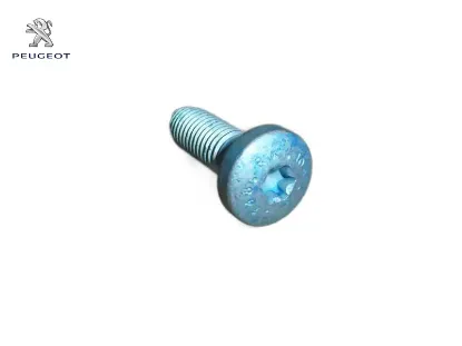 Rlx cıvatası peugeot  resmi