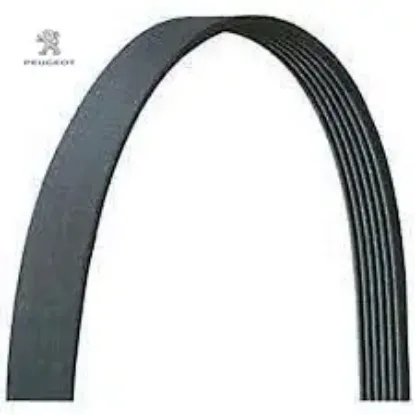 Alternatör kayışı  6 pk 1156  307 dw peugeot  resmi