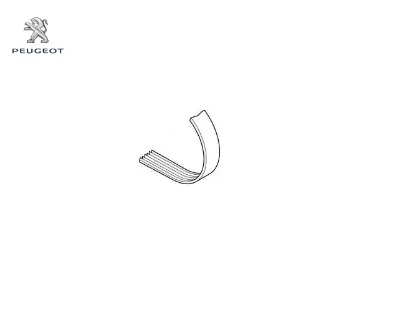 Alternatör kayışı 6 pk 1700  306-405 xu peugeot  resmi