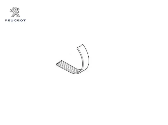 Alternatör kayışı 6 pk 1700  306-405 xu peugeot  resmi