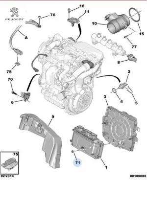 Somun peugeot  resmi