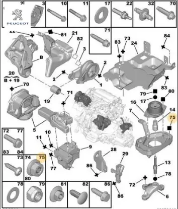 Somun peugeot  resmi