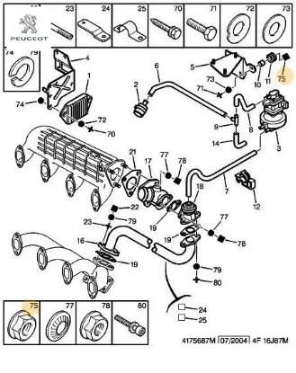 Somun peugeot  resmi