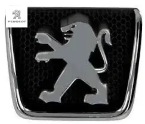 Ön panjur arması      307 peugeot  resmi