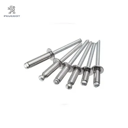 Dolu perçin peugeot  resmi