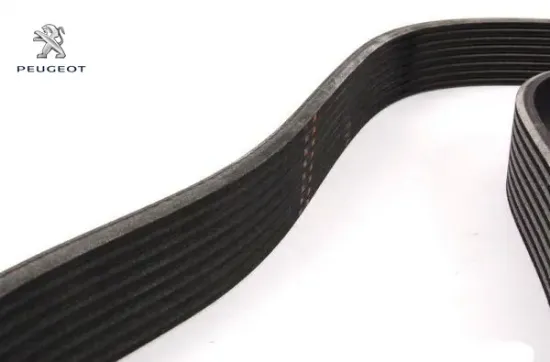 Alternatör kayışı 301-celysee peugeot  resmi