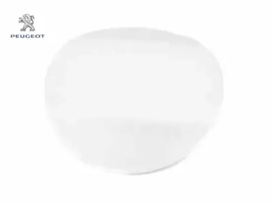 Depo boğaz bakaliti peugeot  resmi