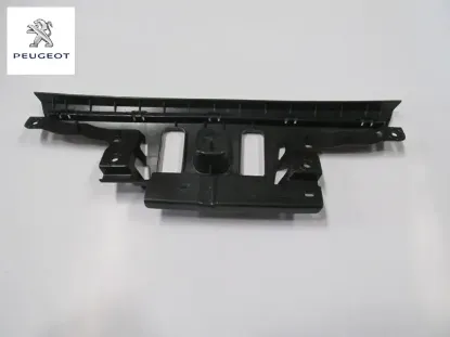 Mesnet peugeot  resmi