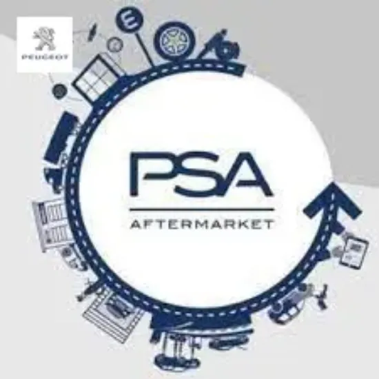 Pano iç sacı peugeot  resmi