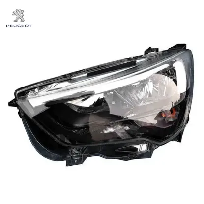 Cam kızağı peugeot  resmi