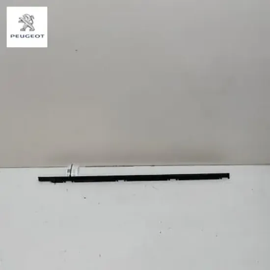 Ön kapı camı sıyırıcı fitili dış sol  - c4 x (c43) c4 (c41) peugeot  resmi