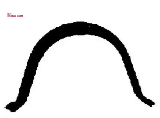 Karter hilalleri slikon r9-r12 1400 royal conta  resmi