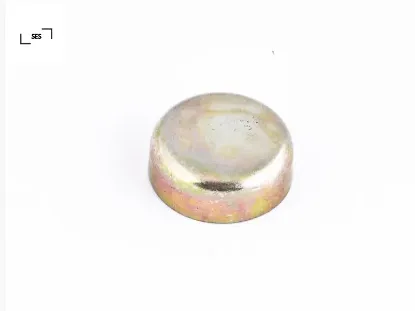 Motor blok su tapası 22 mm. R9 ses  resmi