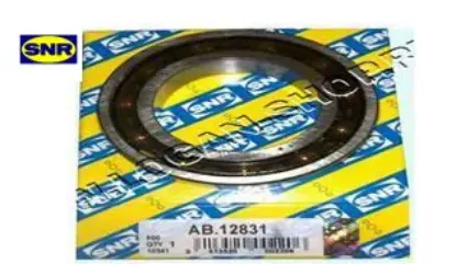 Defransiyel rulmanı küçük r9-r11-saxo-p106 ı-ıı-logan x snr 7703090436/ 7703090316 resmi