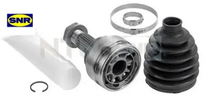 Aks korugu cıtro n snr  resmi