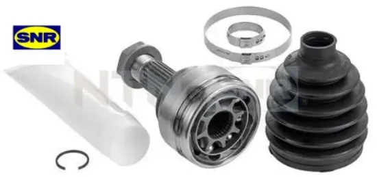 Aks korugu cıtro n snr  resmi