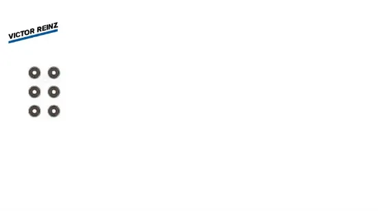 Subap lastiği 12x clıo v 19 captur ıı 20 duster ıı 17 sandero ııı 21 jogger 23 logan ııı 21  mıcra v vıctor reınz 132071969r resmi