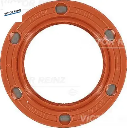 Shaft oıl seal vıctor reınz  resmi