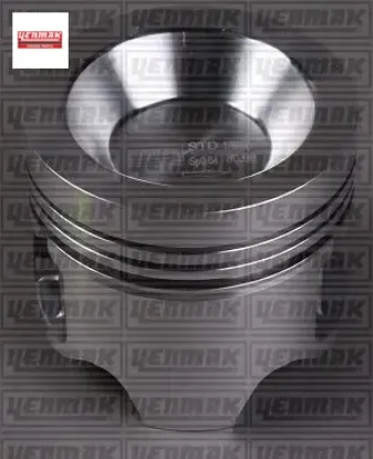 Motor pıston segman std 81.00 cap r9 r11 flash r21 manager 1.7 f2n 87-335100-12 yenmak 7701641261/ 7701623372/ 7701641259 resmi