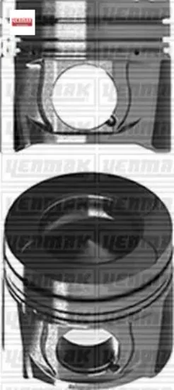 Pıston sekman std 85.01mm master movano ııı 2.3 cdı cdtı 10 m9t676 euro5 yenmak 120a17400r/ 120a11957r resmi