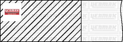 Motor segmanı std r21 concorde 2.0 88mm yenmak 7701467668 resmi