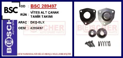 Vites alt çanak tamir takımı dkş-slx bsc 4289497 resmi