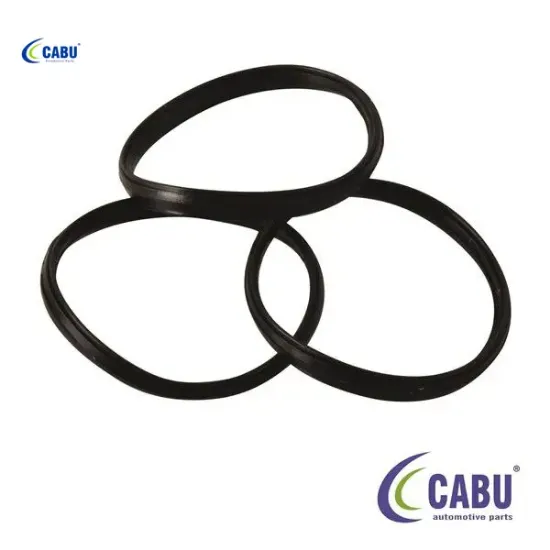 Termostat contası escort 98 01 cabu 928m9k462bc c resmi