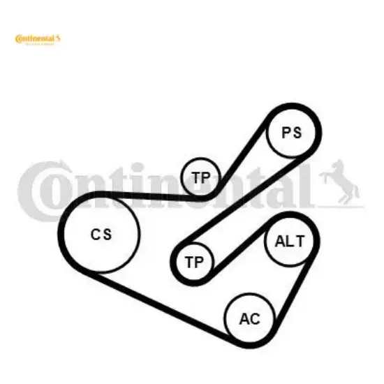 Alternatör gergi kiti partner-expert-berlıngo-jumpy 2.0 hdı-scudo 2.0 jtd 00-06 contıtech 1613844680/ 5750.Gk/ 5750.Vs/ 5750.R9 resmi