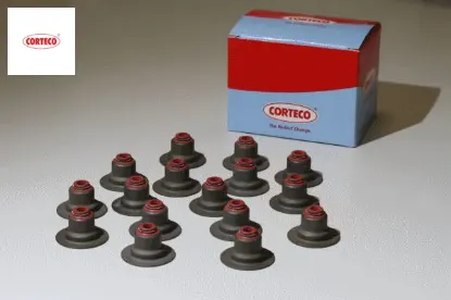 Subap lastiği 16 adet astra h-j-combo d-ınsıgnıa a-vectra c-zafıra c-movano c-antara-captıva-cruze - corteco 55183812/ 642697 resmi