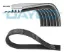 Kanallı kayış focus 1.4 1.6 16v 98-05 dayco 01137008/ 98mf6c301da resmi
