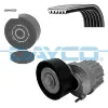 Alternatör gergi kiti amarok- transporter t6 caaa-caab-ccha-cfca-caad 2.0tdı 10-15 6pk1555 dayco 044903137g/ 038903315t/ 03g145276 resmi