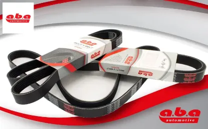 Kanallı kayışı transıt v184 2.4td 01 06 klımalı ac aba rulman yc1e6c301db/ 1129182 resmi