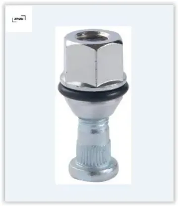 Bijon saplaması ve somunu takım hyundaı accent-era-getz dizel q13 fereze ayhan  resmi