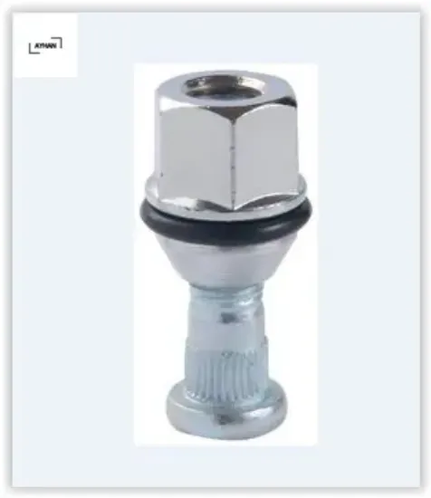 Bijon saplaması ve somunu takım hyundaı accent-era-getz dizel q13 fereze ayhan  resmi