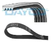 Kanallı kayış t12-15 2.5 t- td 85/94 f.tran 48406 dayco 974f 6c301 ca/ 6146319 resmi
