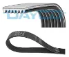 Kanallı kayış landlange 4.0/4.6 16v 94-02 dayco pqs101470 resmi