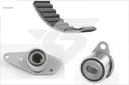 Eksantrik gergi kiti clıo 91 98 laguna 93 01 traffıc 86 94 r9-r11-r19-r21 1.7-1.8 125x190 hutchınson 7701468167 resmi