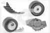 Devirdaimli eksantrik gergi kiti 140x254 206-306-partner-expert-berl-jumpy-scudo1.9d 98- dw8 hutchınson 0831.58/ 0831.59/ 0831.N2/ 0831.R7 resmi