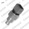 Hararet müşürü berlıngo-multıspace-dıspatch-jumpy-xsara-206-expert-partner-ranch 1.9 d dw8 vernet 1338.85/ 9625202480 resmi