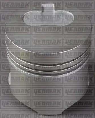 Motor piston segman 0.61 -1.2 partner-berlıngo 1.9 dzl dw8 82.20 çap yenmak 0628.J2/ 6606401 resmi