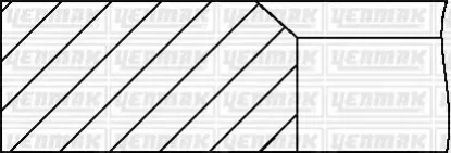 Segman 0.50 accent era 06- benzınlı adet yenmak  96-09496-050 resmi