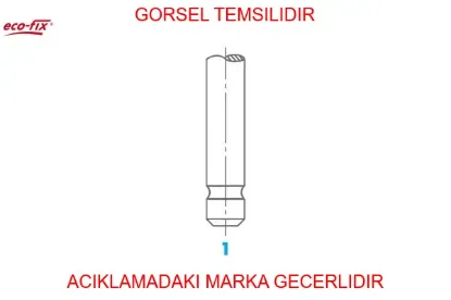 Egzoz  Supap Std Ölçü Boxer Dj5 Ted Ecofix  4376864 resmi