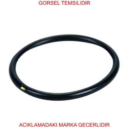 O-rıng (500390054) 17289680 resmi