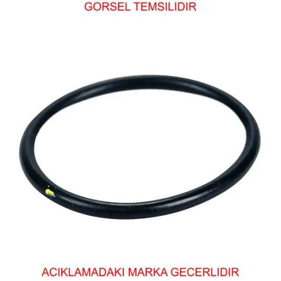 O-rıng (500390054) 17289680 resmi