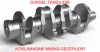 Krank Mili     Ducato-j10 2.3jtd  07-> (çam Armalı) 504049281/ TMP0379/ K014102 resmi