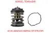 Termostat 87 °c n47 n57 e81 e82 e87 e88 e90 e91 e92 e93 e60 e61 f07 f10 f11 f01 f02 e83 e70 e71 11517805192 resmi