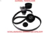 Alternatör kayış kiti clıo-megane ıv 117203336r  maıs resmi