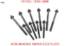Pulcivata ducato opar 500347039 resmi