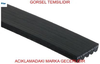 V kayıs  gdx opar 55240004 resmi